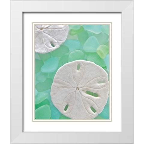 Seaglass 5 White Modern Wood Framed Art Print with Double Matting by Blaustein, Alan