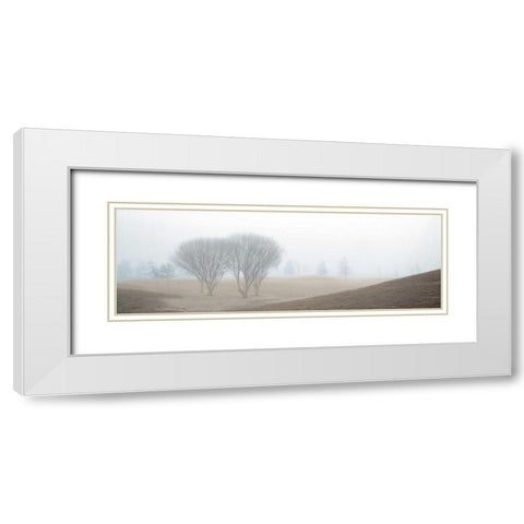 Coastal Trail White Modern Wood Framed Art Print with Double Matting by Blaustein, Alan