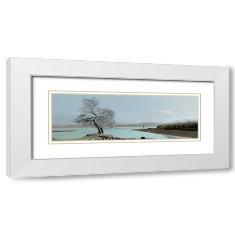 Lagoon Oak Tree White Modern Wood Framed Art Print with Double Matting by Blaustein, Alan