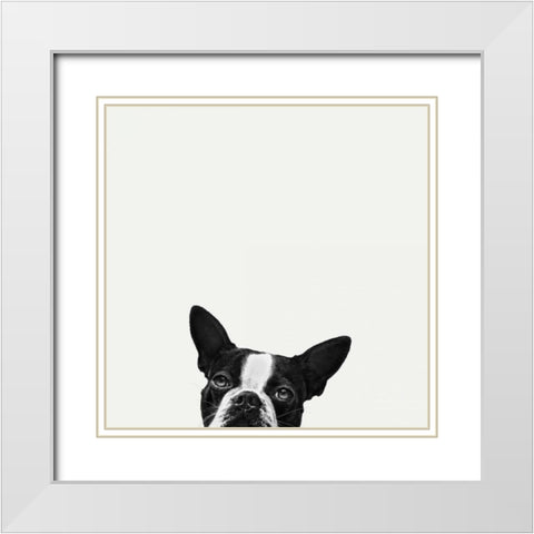 Loyalty White Modern Wood Framed Art Print with Double Matting by Bertelli, Jon