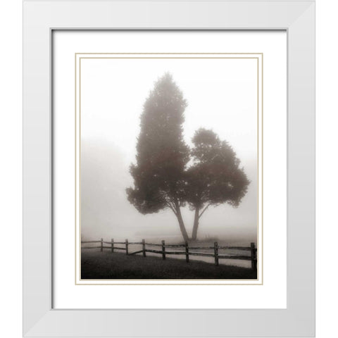 Cedar Tree and Fence White Modern Wood Framed Art Print with Double Matting by Bell, Nicholas
