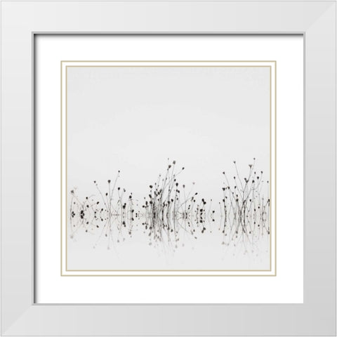 Reflections White Modern Wood Framed Art Print with Double Matting by Bell, Nicholas