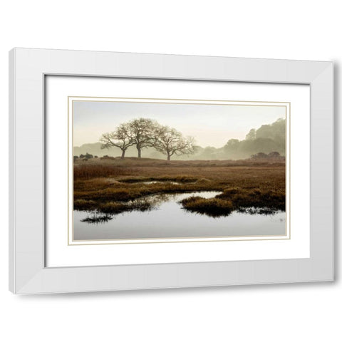 Island Oak Trees White Modern Wood Framed Art Print with Double Matting by Blaustein, Alan
