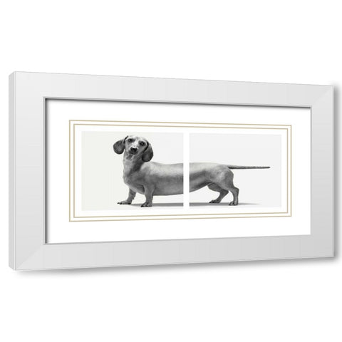 Heads and Tails White Modern Wood Framed Art Print with Double Matting by Bertelli, Jon