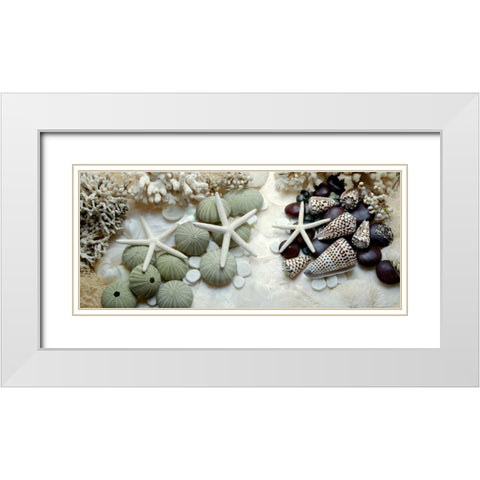 Island Tide Pool No. 2 White Modern Wood Framed Art Print with Double Matting by Blaustein, Alan