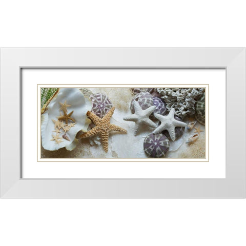 Island Tide Pool No. 4 White Modern Wood Framed Art Print with Double Matting by Blaustein, Alan