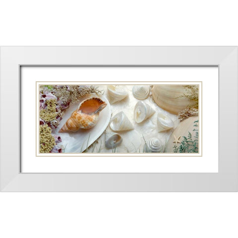 Island Tide Pool No. 6 White Modern Wood Framed Art Print with Double Matting by Blaustein, Alan