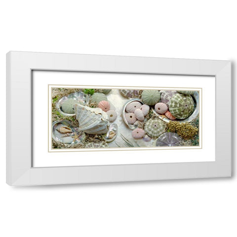 Island Tide Pool No. 7 White Modern Wood Framed Art Print with Double Matting by Blaustein, Alan