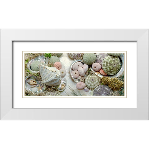Island Tide Pool No. 7 White Modern Wood Framed Art Print with Double Matting by Blaustein, Alan