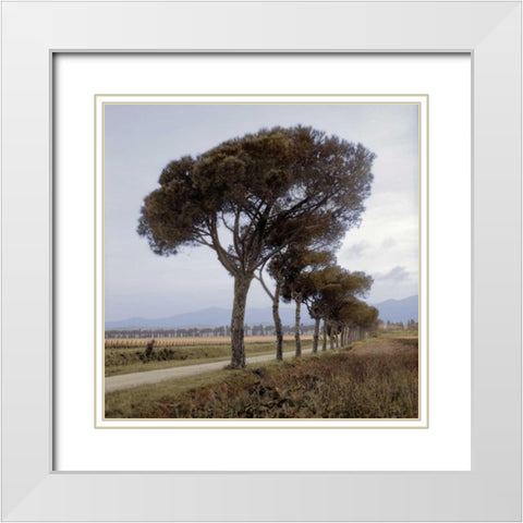 Tuscan Fatorria Strada No. 1 White Modern Wood Framed Art Print with Double Matting by Blaustein, Alan