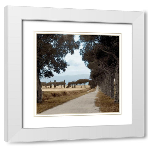 Tuscan Fatorria Strada No. 2 White Modern Wood Framed Art Print with Double Matting by Blaustein, Alan