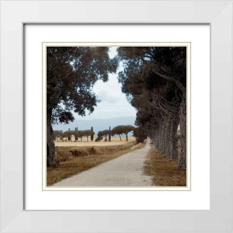 Tuscan Fatorria Strada No. 2 White Modern Wood Framed Art Print with Double Matting by Blaustein, Alan