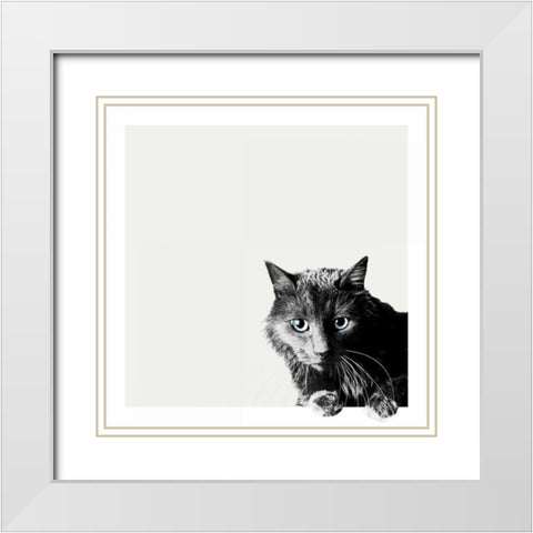 Inquisitive White Modern Wood Framed Art Print with Double Matting by Bertelli, Jon