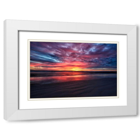Natureaâ‚¬â„¢s Palette White Modern Wood Framed Art Print with Double Matting by Burdick, Chuck