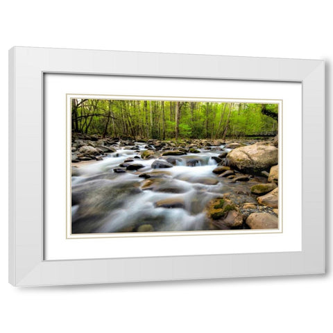 Below the Bridge White Modern Wood Framed Art Print with Double Matting by Burt, Daniel