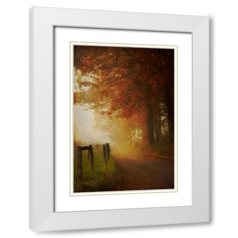 Come to the Light White Modern Wood Framed Art Print with Double Matting by Burt, Daniel