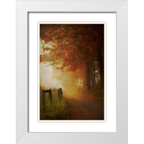 Come to the Light White Modern Wood Framed Art Print with Double Matting by Burt, Daniel