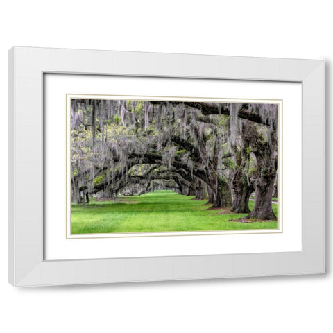 Hanging to the Left White Modern Wood Framed Art Print with Double Matting by Burt, Daniel