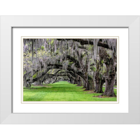 Hanging to the Left White Modern Wood Framed Art Print with Double Matting by Burt, Daniel