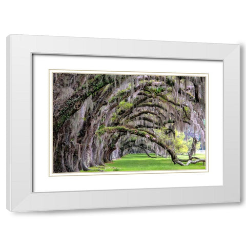 Hanging to the Right White Modern Wood Framed Art Print with Double Matting by Burt, Daniel