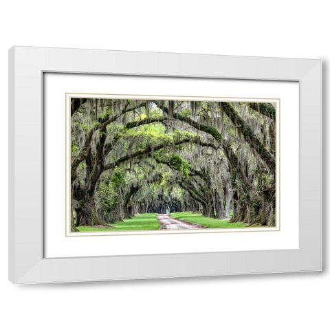 The Old South White Modern Wood Framed Art Print with Double Matting by Burt, Daniel