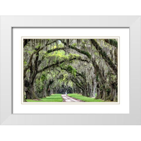 The Old South White Modern Wood Framed Art Print with Double Matting by Burt, Daniel