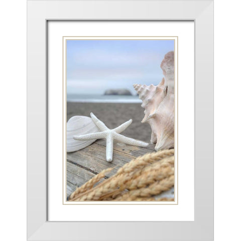 Crescent Beach Shells 12 White Modern Wood Framed Art Print with Double Matting by Blaustein, Alan