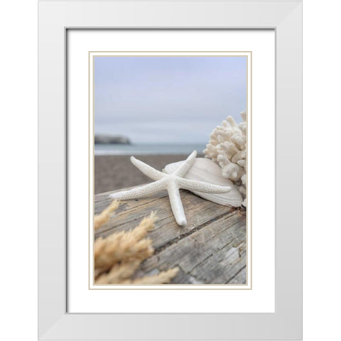 Crescent Beach Shells 13 White Modern Wood Framed Art Print with Double Matting by Blaustein, Alan