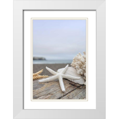 Crescent Beach Shells 14 White Modern Wood Framed Art Print with Double Matting by Blaustein, Alan