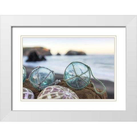 Crescent Beach Shells 16 White Modern Wood Framed Art Print with Double Matting by Blaustein, Alan