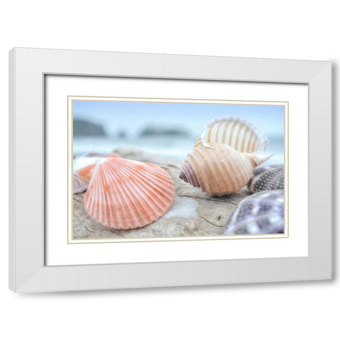 Crescent Beach Shells 10 White Modern Wood Framed Art Print with Double Matting by Blaustein, Alan