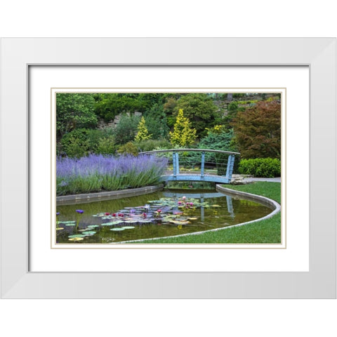 Serenity White Modern Wood Framed Art Print with Double Matting by Burdick, Chuck