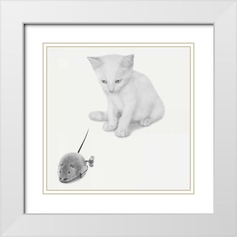 Quest-ce que caest White Modern Wood Framed Art Print with Double Matting by Bertelli, Jon