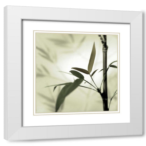 Bamboo #1 White Modern Wood Framed Art Print with Double Matting by Blaustein, Alan
