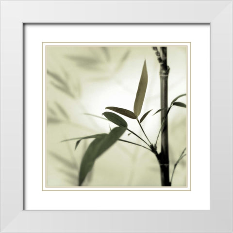 Bamboo #1 White Modern Wood Framed Art Print with Double Matting by Blaustein, Alan