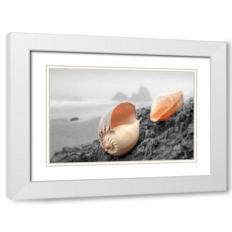 Crescent Beach Shells #20 White Modern Wood Framed Art Print with Double Matting by Blaustein, Alan