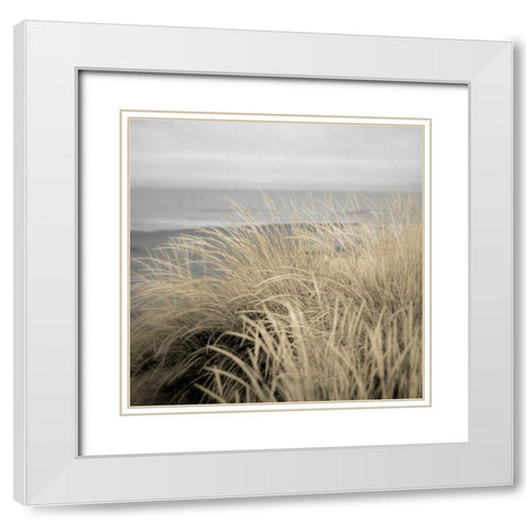 Tuscan Dunes #2A White Modern Wood Framed Art Print with Double Matting by Blaustein, Alan