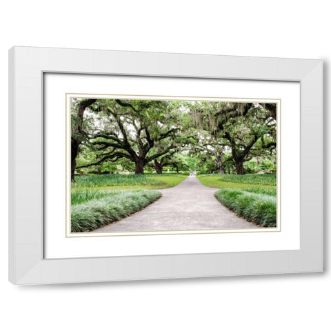 Garden Entrance White Modern Wood Framed Art Print with Double Matting by Burdick, Chuck