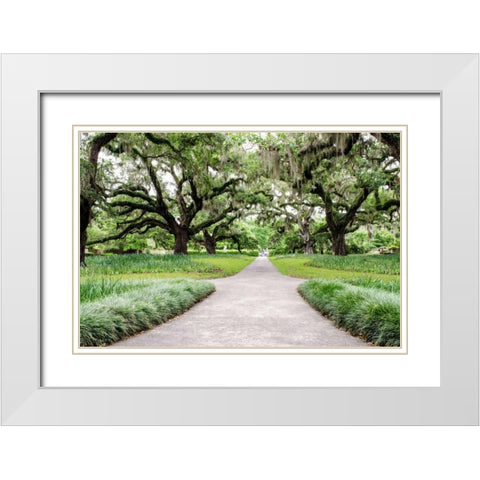 Garden Entrance White Modern Wood Framed Art Print with Double Matting by Burdick, Chuck