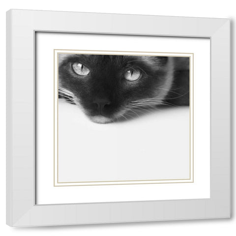 No Stress White Modern Wood Framed Art Print with Double Matting by Bertelli, Jon