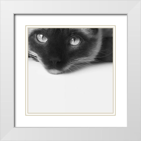 No Stress White Modern Wood Framed Art Print with Double Matting by Bertelli, Jon
