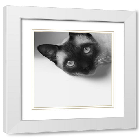 Hey! White Modern Wood Framed Art Print with Double Matting by Bertelli, Jon