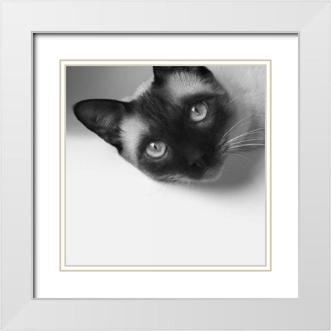 Hey! White Modern Wood Framed Art Print with Double Matting by Bertelli, Jon