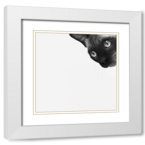Be Brave White Modern Wood Framed Art Print with Double Matting by Bertelli, Jon