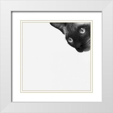 Be Brave White Modern Wood Framed Art Print with Double Matting by Bertelli, Jon