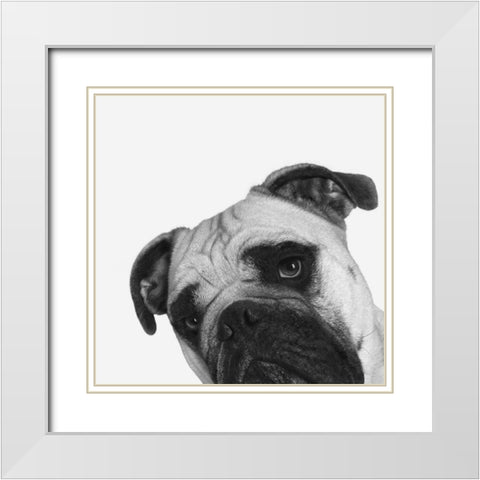 QuÃ© Pasa? White Modern Wood Framed Art Print with Double Matting by Bertelli, Jon