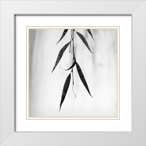 Willow Print No. 2 White Modern Wood Framed Art Print with Double Matting by Bell, Nicholas