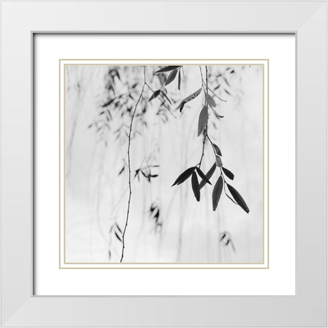 Willow Print No. 3 White Modern Wood Framed Art Print with Double Matting by Bell, Nicholas