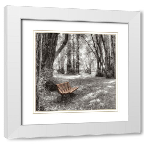 Old Mill Park White Modern Wood Framed Art Print with Double Matting by Blaustein, Alan