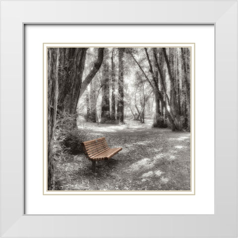 Old Mill Park White Modern Wood Framed Art Print with Double Matting by Blaustein, Alan